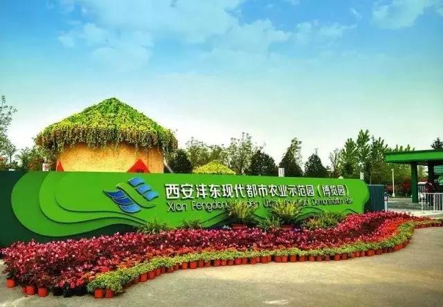 对话康军：“追赶高新超越曲江”——陕西首个“全托管型”开发区的掘进之路