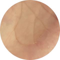 比滋源更好用的10款无硅油洗发水，哪些你没用过？