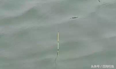 钓鱼真实吃饵各种漂相,钓鱼技巧浮漂