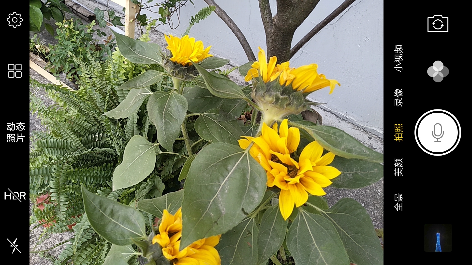 vivox9plus星空灰什么时候出,vivox9黑星夜