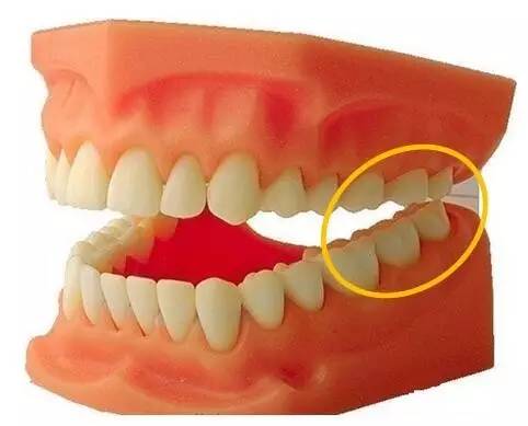 牙，尾牙的牙[汉字之美]“年终系列”