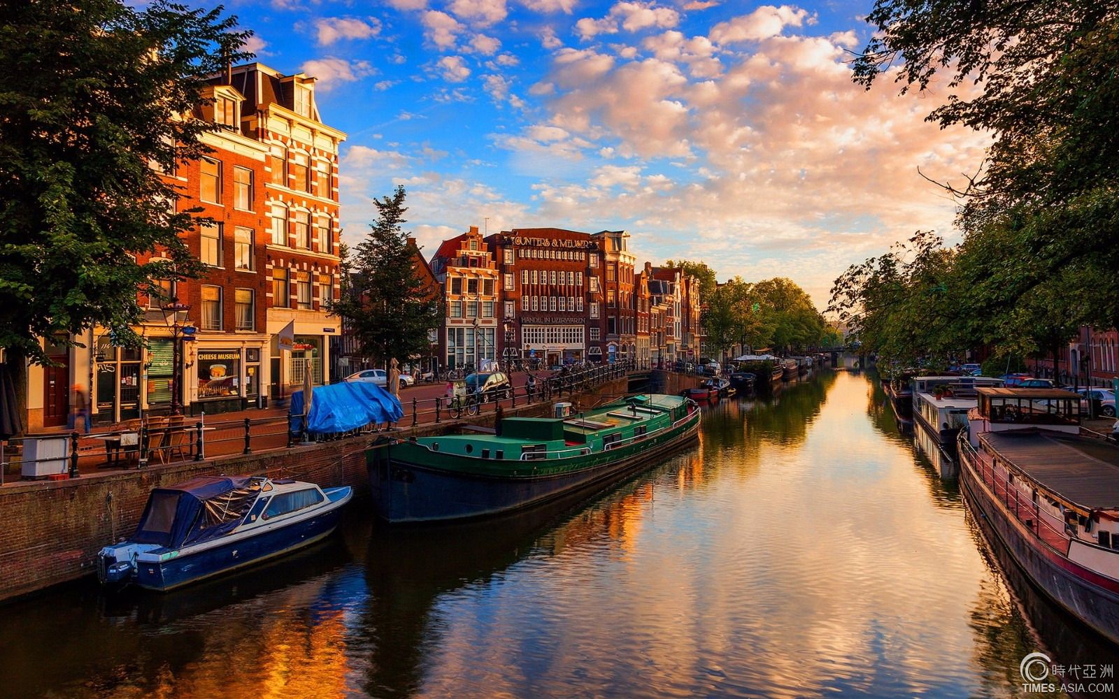 荷兰花海郁金香花语炙热的爱,郁金香花海的花语