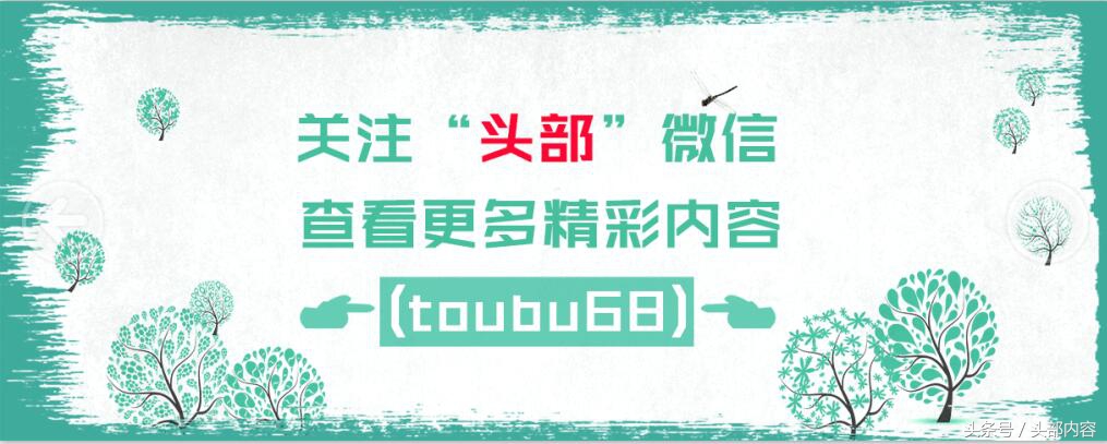 美版王思聪现状,美国版的王思聪