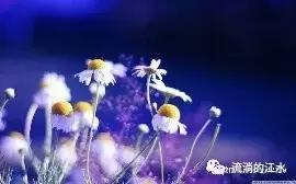 再见了巢湖，不舍的“故乡”——回忆青春时光的岁月（江莉倩）