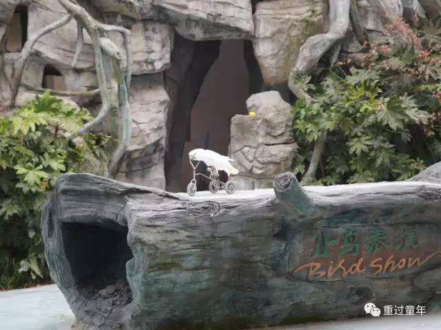 常州恐龙园省钱攻略,常州恐龙园恐龙穿越侏罗纪