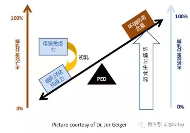 ped怎么净化,如何从生物安全角度来防控传染病