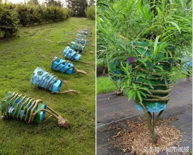 这个英国大叔从地里“种”出了一把椅子，价值2万多！