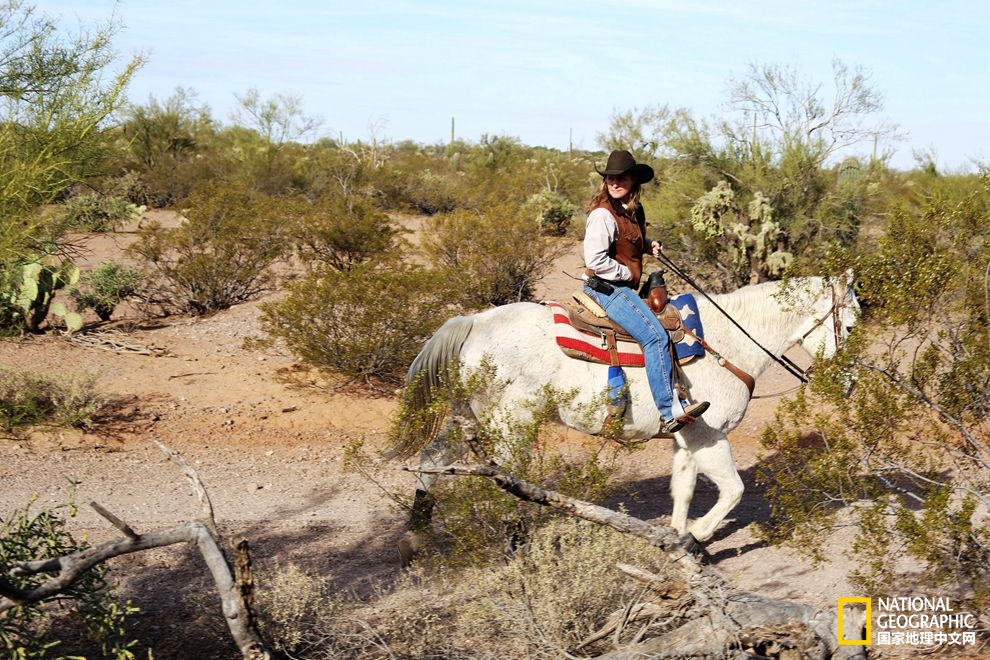 图森仙人掌,图森地理位置