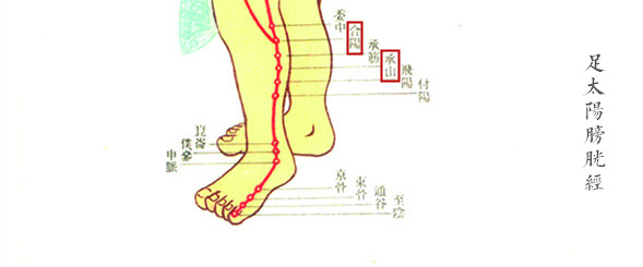 字里藏医解读,字里藏医视频