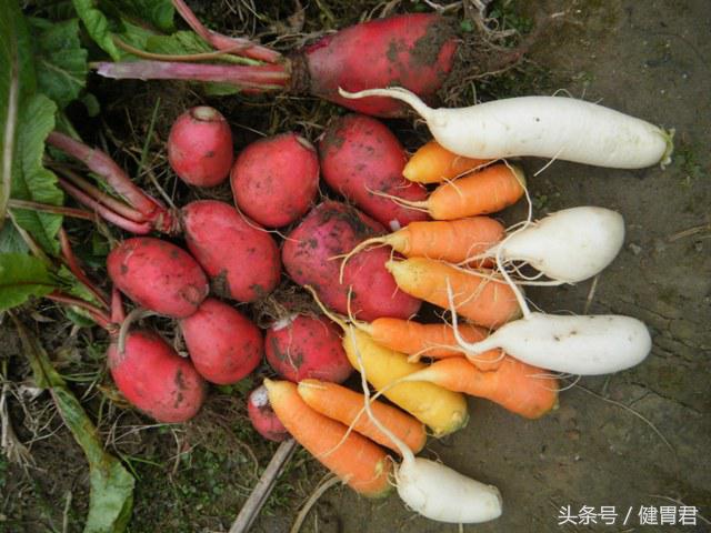 食物怎么搭配更健康,饮食怎么搭配可以更健康