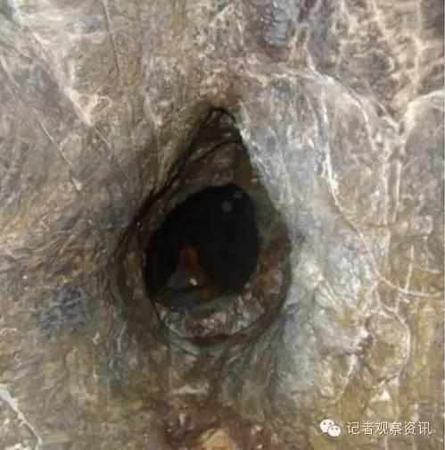 不可思议的十六大奇观,不可思议的六大奇观现象