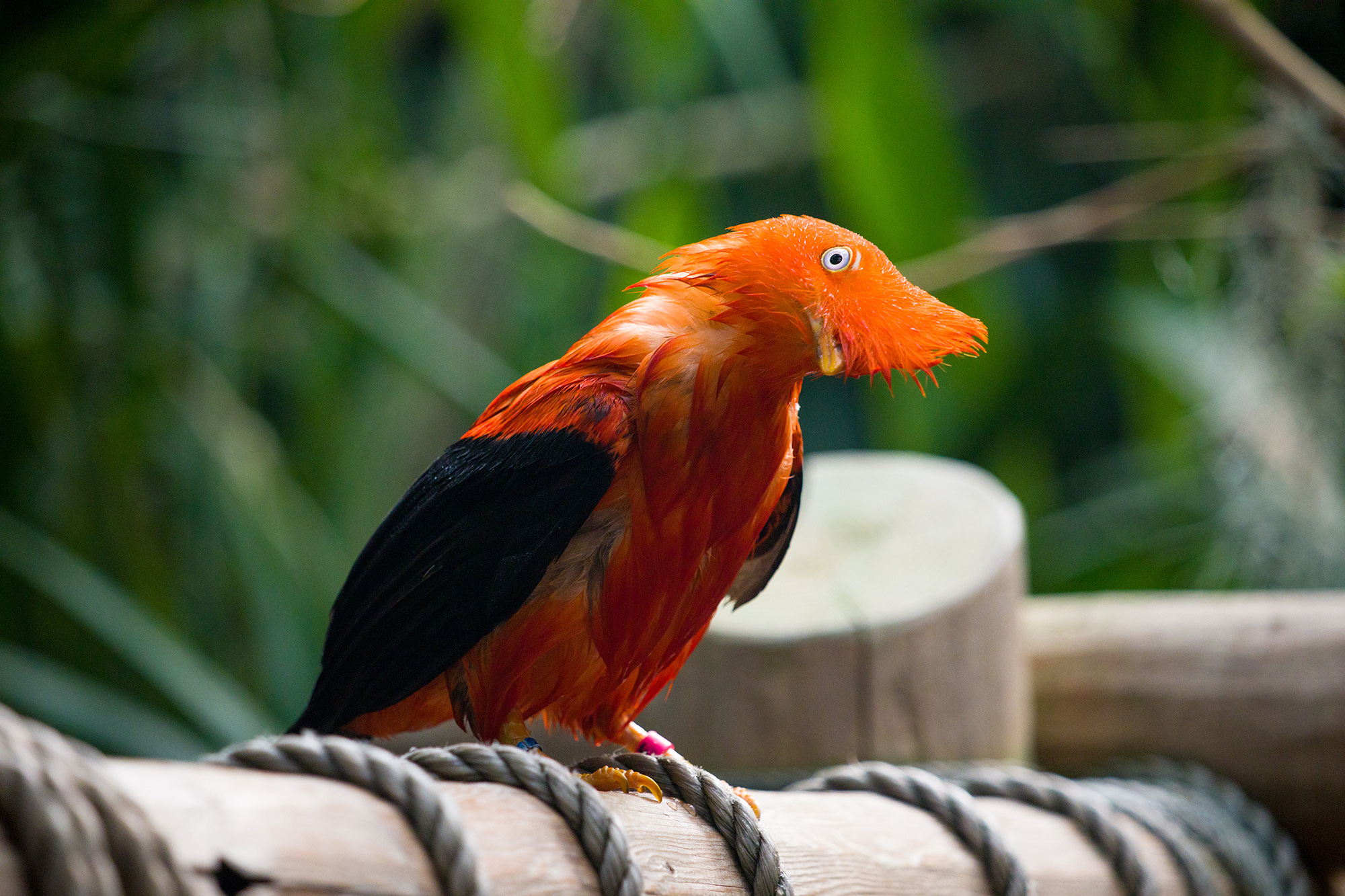 佳能ef70-300mmf4-5.6iii三代,佳能ef70-200f4拍摄样张