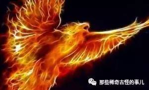 上古神兽与五大瑞兽四大凶兽,神兽瑞兽凶兽