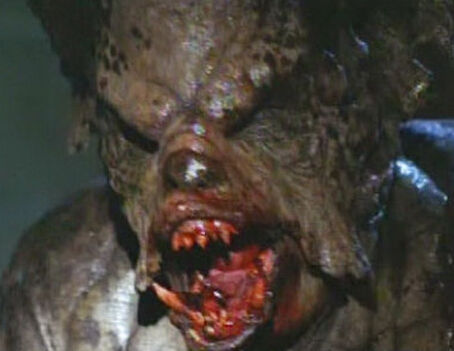 百慕大三角的秘密到底是什么,百慕大三角真那么可怕吗