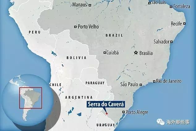 澳大利亚巨型蜘蛛吃蛇,最大的蛇吃蜘蛛