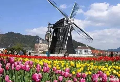 日本有什么让人不可思议的地方,日本有一个特殊的地方