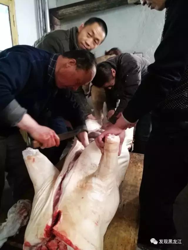 现场实拍农村一家人杀年猪全过程,东北农村真实生活杀年猪