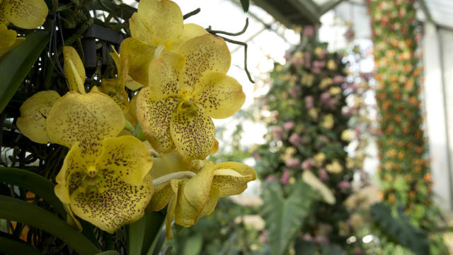 英国伦敦旅游购物攻略,伦敦旅游攻略相关推荐