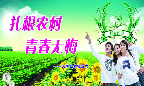 大学生当志愿者的感悟,大学生当干部感想