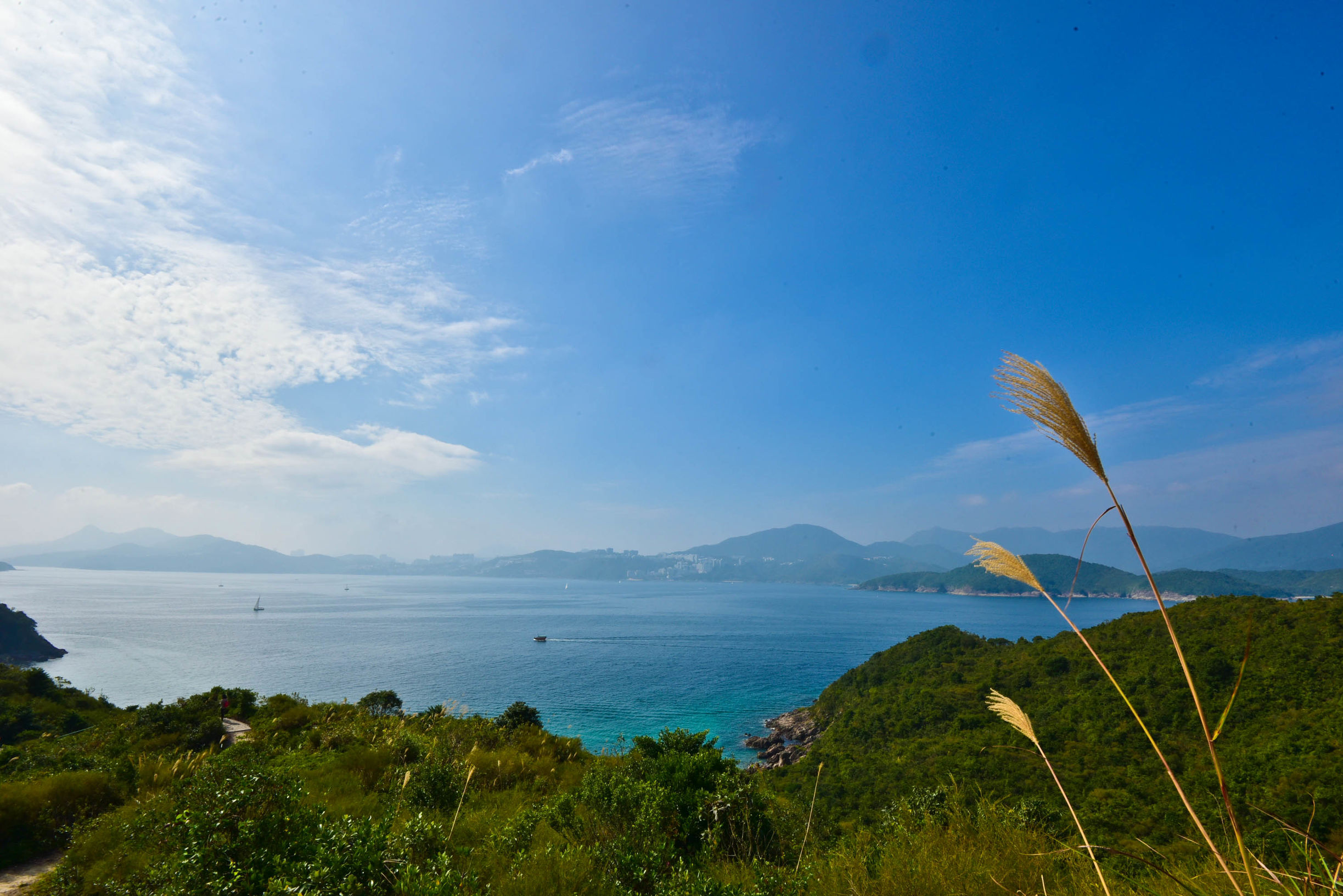 兔子游云南,兔子游老君山视频