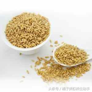 养生瘦身粥有哪些,养生改善小肚腩