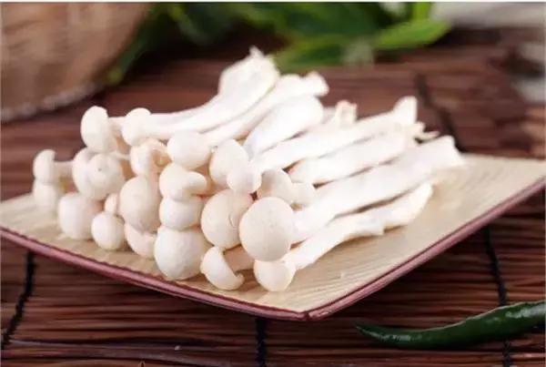 福建汀州土特产,福建零食特产有哪些