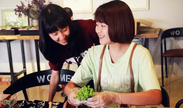 多肉新手必踩十大坑,多肉入坑的一百个理由