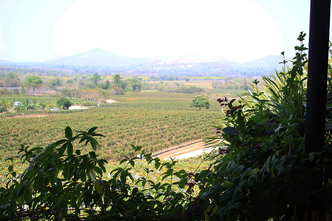 泰国曼谷芭提雅华欣7天自由行 (泰国华欣与芭提雅是一个地方吗)