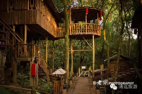 惊！艳！清远这片森林惊现空中吊屋！来过你再也不想回家