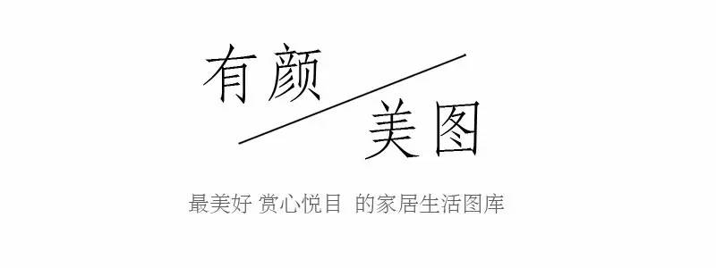 用植物点缀空间，请先抛弃老土花器