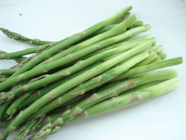 1岁半宝宝贫血吃啥,一岁半宝宝缺铁性贫血食谱