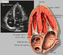 那些年我们错过的人,那些年我们错过的好歌