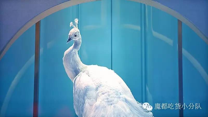 上海高端美食排行榜前十名,上海太古里美食排行榜第一名