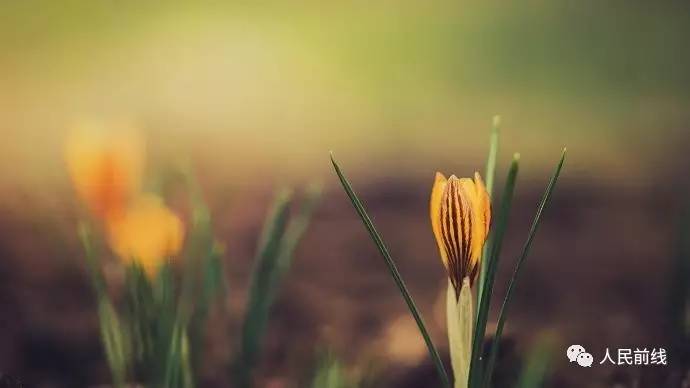 军改深度解读,军改的真实看法