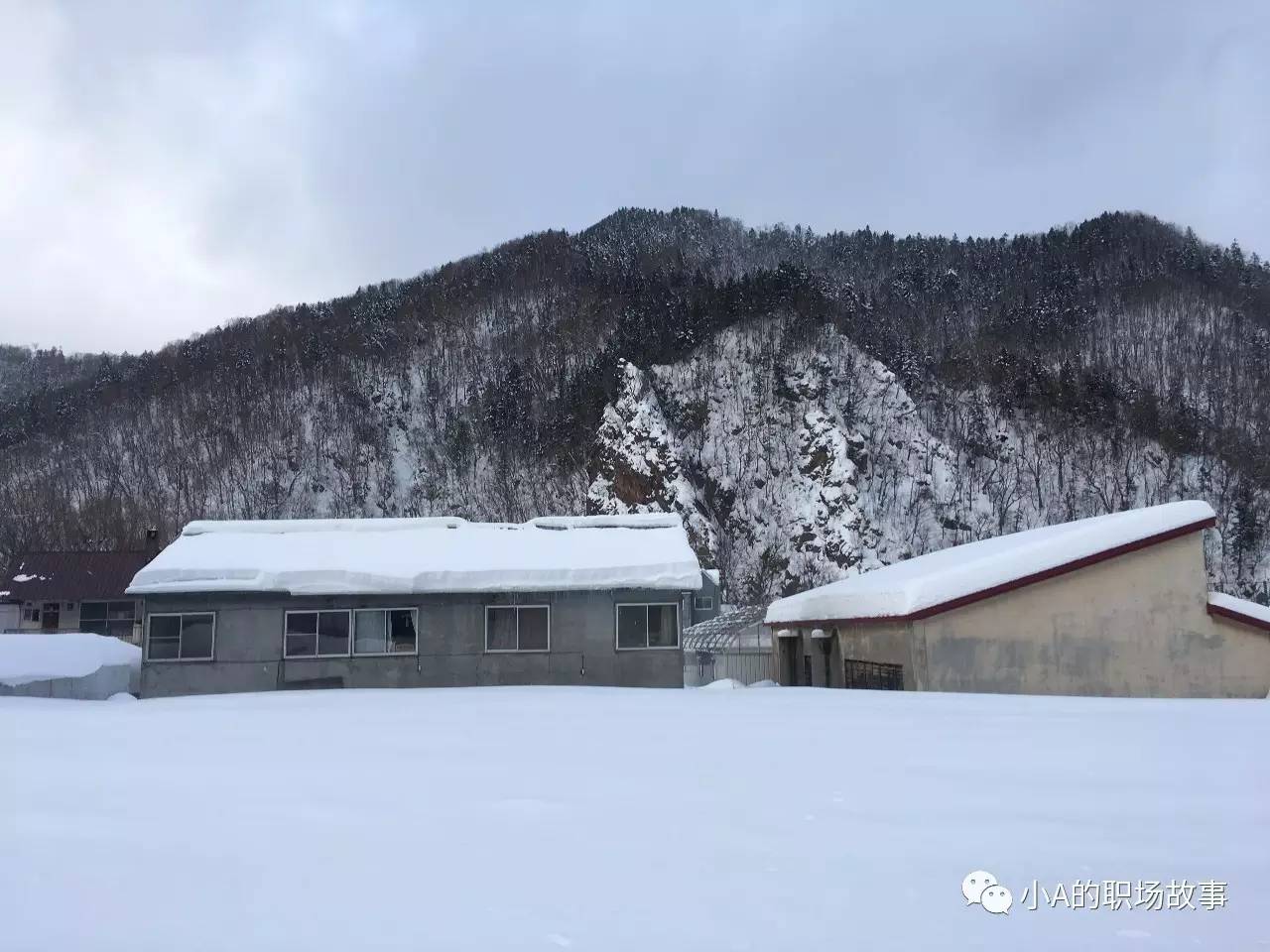 最全318攻略,京都大阪北海道9天