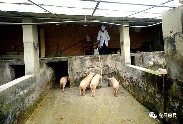 教育我们与孩子共同成长,教育路上我们一起努力