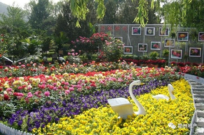 谁说郑州没有网红打卡地,郑州市没有好玩的地方