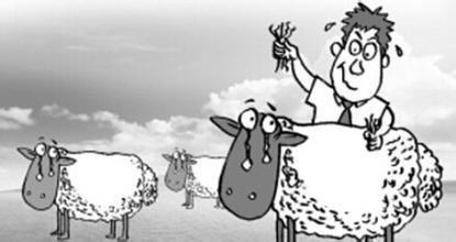 拒做羊毛*党**，点融网、微贷网、蜂融网给你健康良好的投资环境