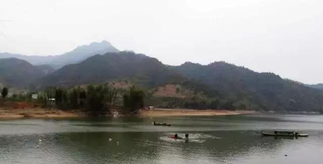 最近广东省抓了哪些人,广东28个贫困县