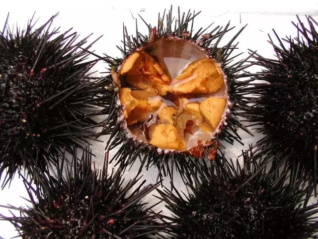 深圳全年货采购地，性价比非常高哦！