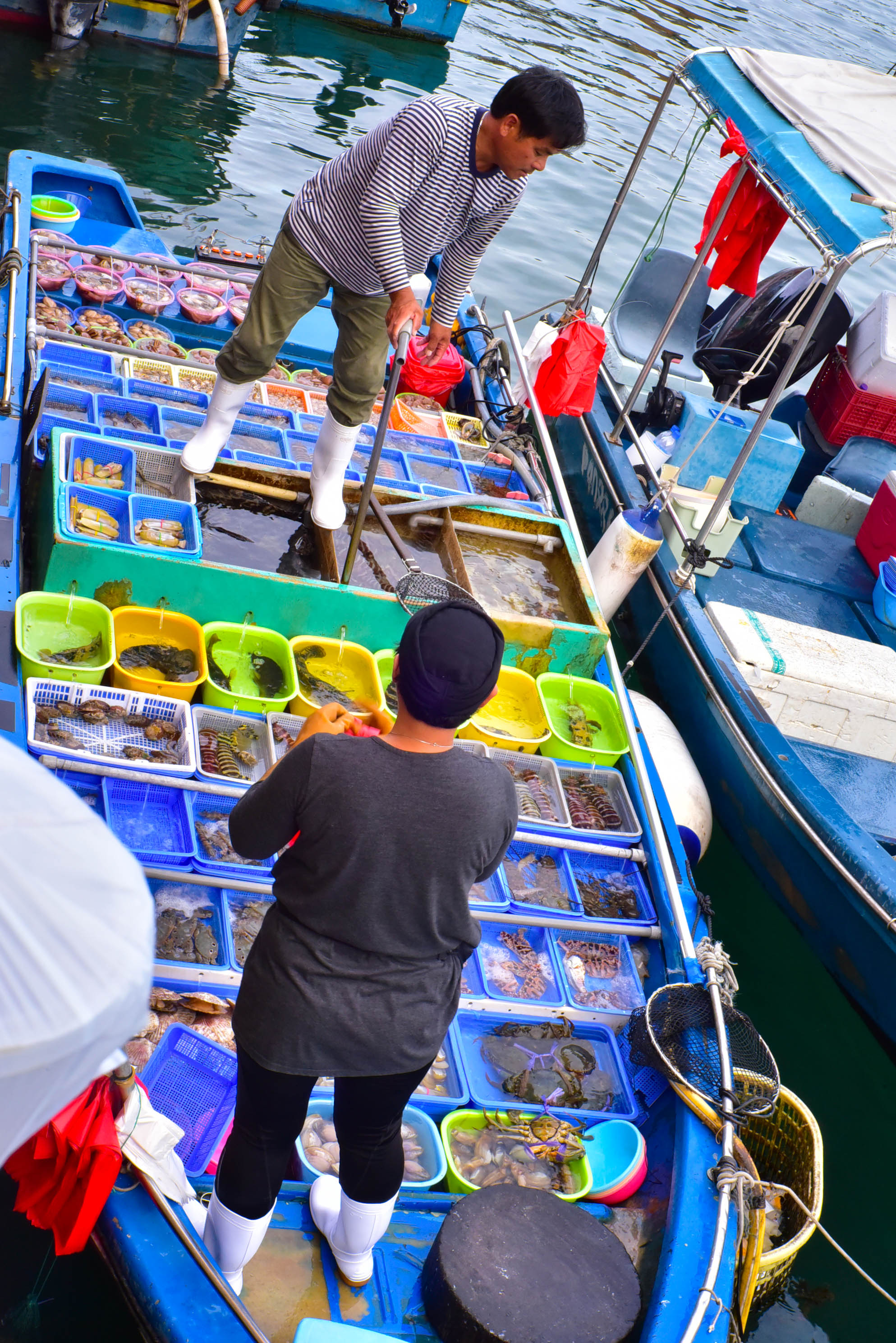 兔子游云南,兔子游老君山视频