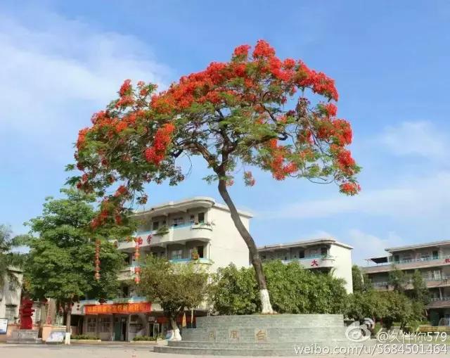 致所有在石滩读过书的同学,回去再看母校一眼吧!