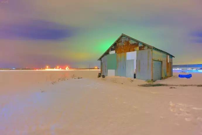 微观茶市丨古茶树安装GPS定位意义何在？