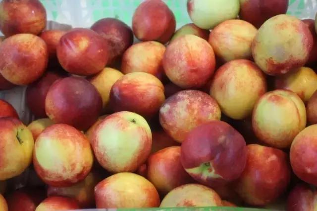 福建汀州土特产,福建零食特产有哪些