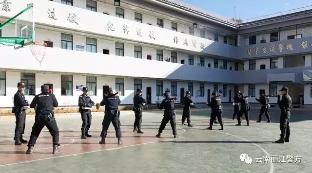 特警出警条件和标准,特警的一天完整视频