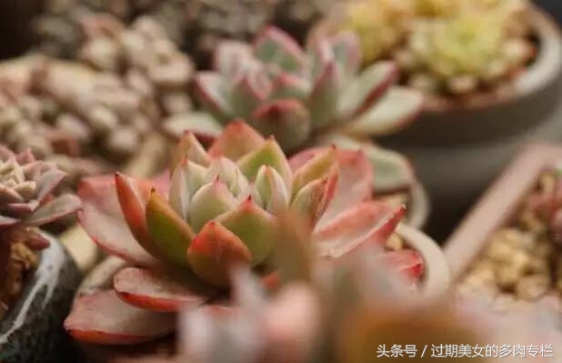 入坑一年小说,入坑一年