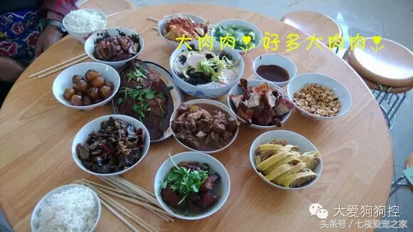 哈士奇在农村放养还是拴住,哈士奇不能养吗