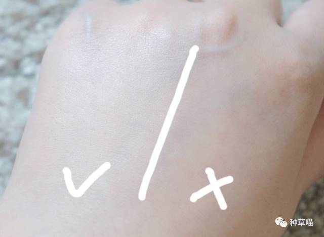 5款又大又好用气垫,五款气垫