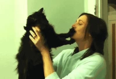 英超争冠集团混战,英超保级队大战争冠区