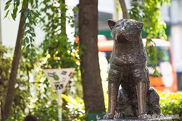 鏃ユ湰娼墝璐墿蹇呬拱娓呭崟,鏃ユ湰鏃跺皻璐墿蹇呬拱娓呭崟